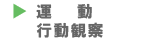 �s���ώ@